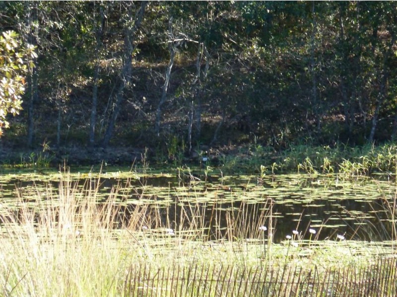 23377 Peak Downs Highway, Eton QLD 4741