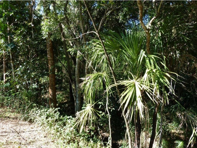 336 Cape Hillsborough Road, Ball Bay QLD 4741