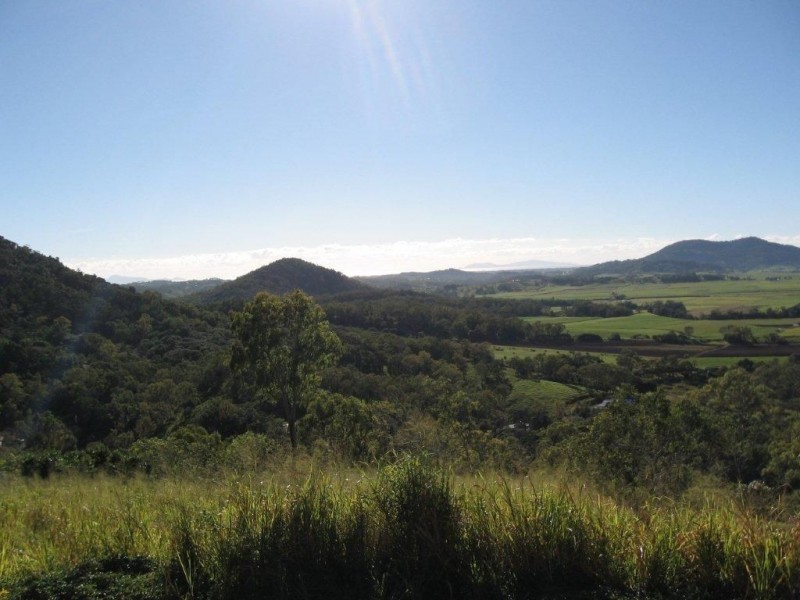 106 Ian Reddacliff Drive, The Leap QLD 4740