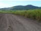 90 Knobels Road, Farleigh QLD 4741
