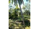 39 Buoro Street, Ball Bay QLD 4741