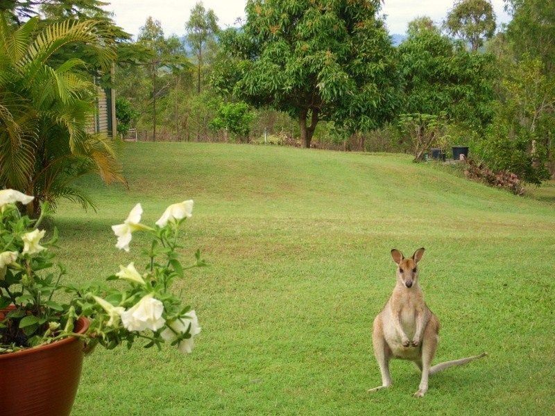 5 Blue Beach Boulevard, Haliday Bay QLD 4740