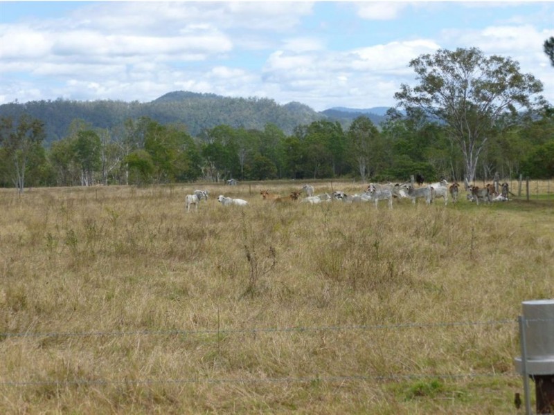 49 Bradfords Road, Gargett QLD 4741