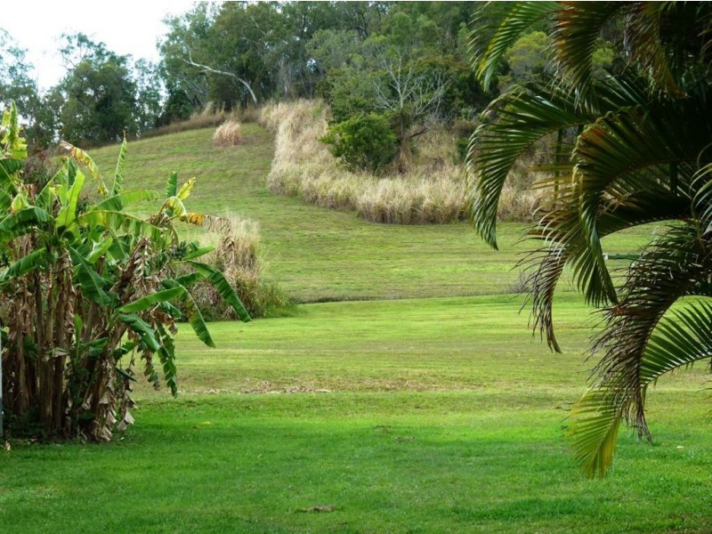 2164 Yakapari-Seaforth Road, Seaforth QLD 4741
