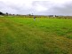 Lot 5 Mackay Eungella Road, Pleystowe QLD 4741