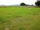 Lot 5 Mackay Eungella Road, Pleystowe QLD 4741