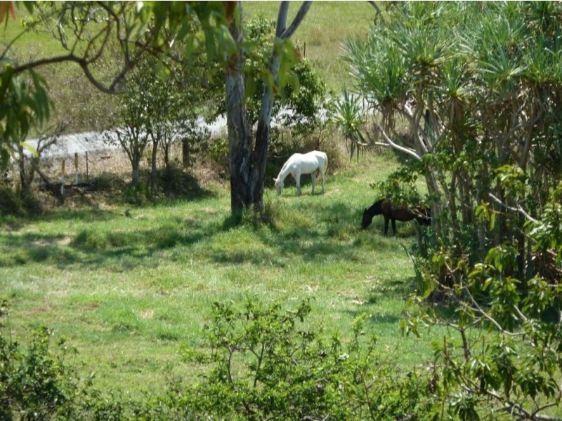 328 Mackay- Habana Road, Mackay QLD 4740