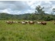 93 Wales Road, Yalboroo QLD 4741