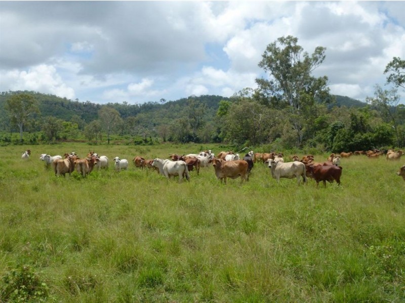 93 Wales Road, Yalboroo QLD 4741