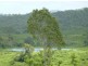 93 Wales Road, Yalboroo QLD 4741