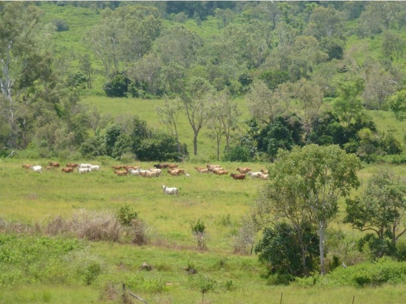 93 Wales Road, Yalboroo QLD 4741