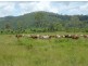 93 Wales Road, Yalboroo QLD 4741