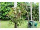 20 Adamson Street, Haliday Bay QLD 4740
