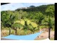 1315 Yakapari-Seaforth Road, Seaforth QLD 4741
