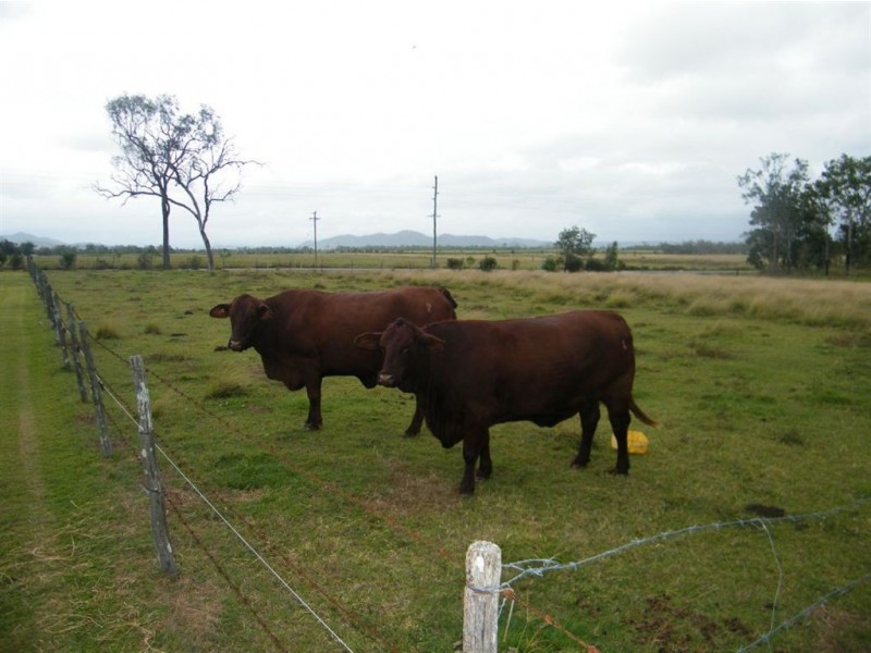 2838 Mackay-Eungella Road, Mirani QLD 4754