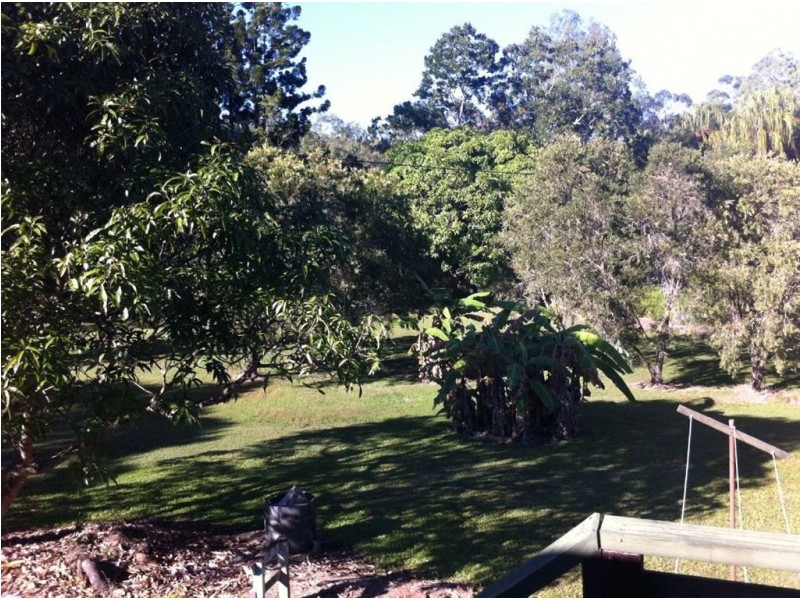 208 Cape Hillborough Road, Ball Bay QLD 4741
