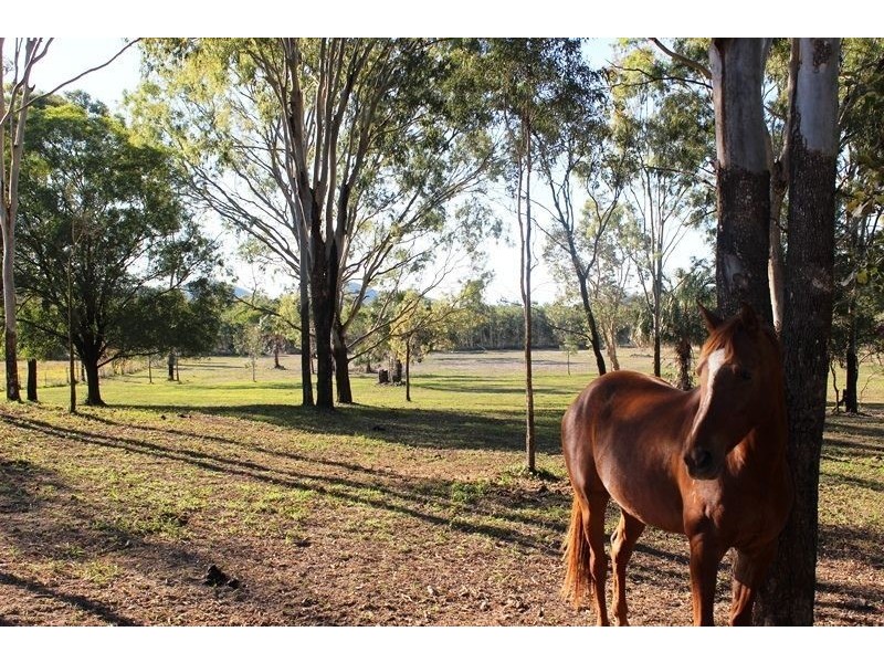 533 Cape Hillsborough Road, Ball Bay QLD 4741
