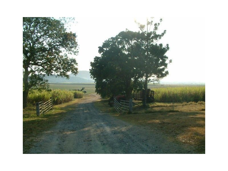 195 Koch’s Road, Farleigh QLD 4741