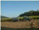 195 Koch’s Road, Farleigh QLD 4741