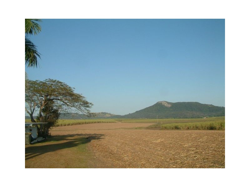 195 Koch’s Road, Farleigh QLD 4741