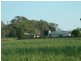 195 Koch’s Road, Farleigh QLD 4741