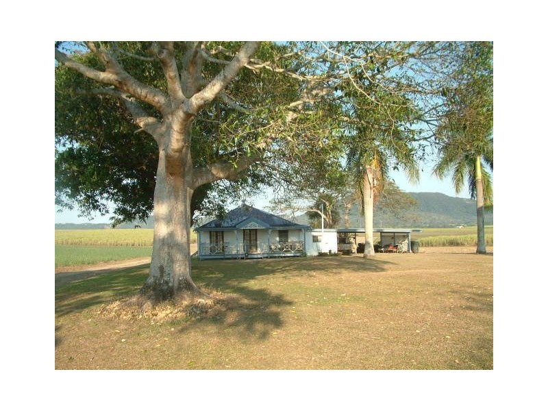 195 Koch’s Road, Farleigh QLD 4741