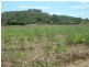 Lot 2 & 3 Barrow Hill Road, Habana QLD 4740