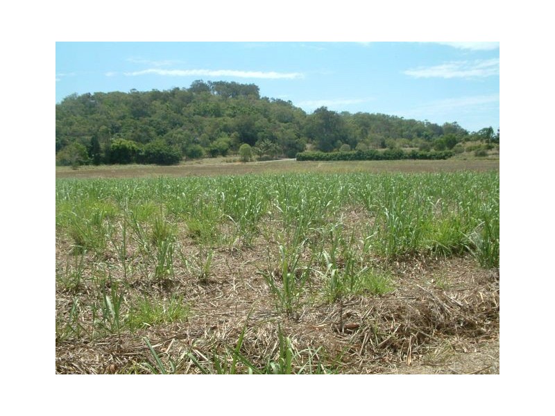 Lot 2 & 3 Barrow Hill Road, Habana QLD 4740