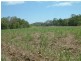 Lot 2 & 3 Barrow Hill Road, Habana QLD 4740