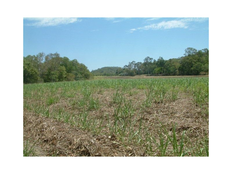Lot 2 & 3 Barrow Hill Road, Habana QLD 4740