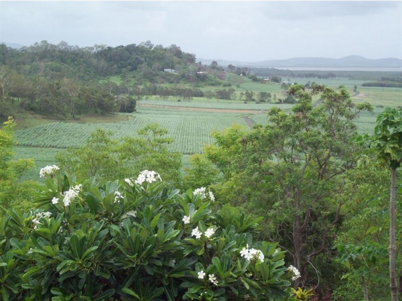 Lot 1 Barrow Hill Road, Habana QLD 4740