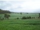 Lot 1 Barrow Hill Road, Habana QLD 4740