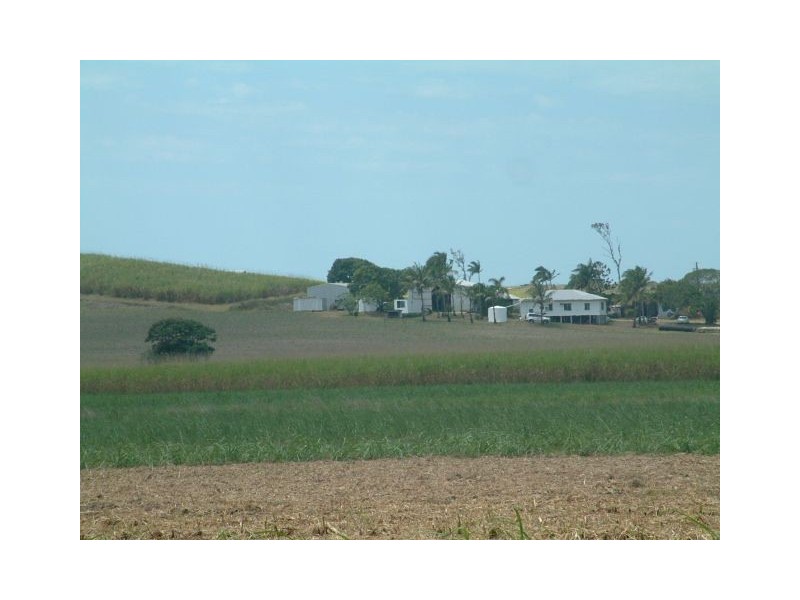 314 Barrow Hill Road, Habana QLD 4740