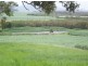 314 Barrow Hill Road, Habana QLD 4740