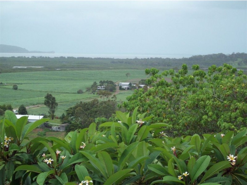 314 Barrow Hill Road, Habana QLD 4740