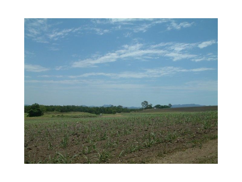 314 Barrow Hill Road, Habana QLD 4740