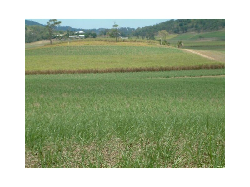 314 Barrow Hill Road, Habana QLD 4740