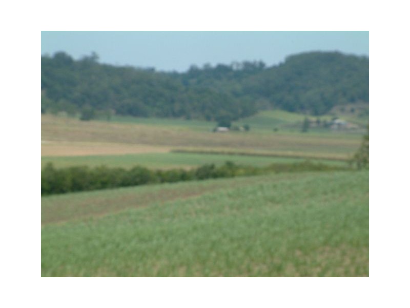 314 Barrow Hill Road, Habana QLD 4740