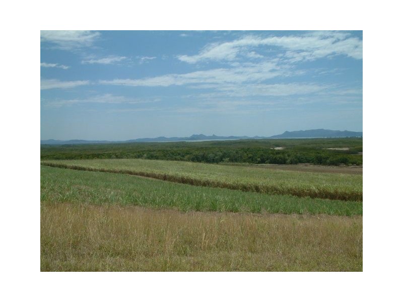 314 Barrow Hill Road, Habana QLD 4740