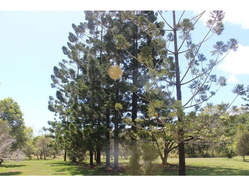 208 Cape Hillsborough Road, Ball Bay QLD 4741