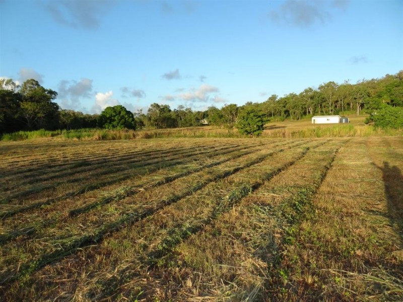 116 Cape Hillsborough Road, Ball Bay QLD 4741