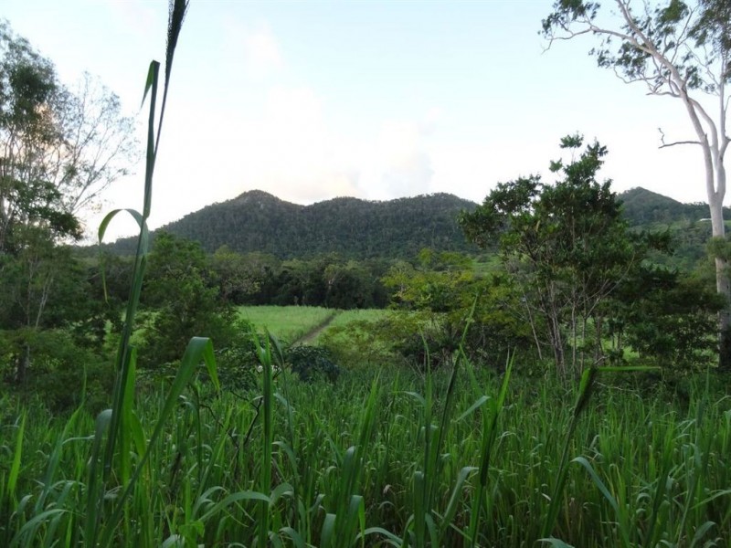 116 Cape Hillsborough Road, Ball Bay QLD 4741