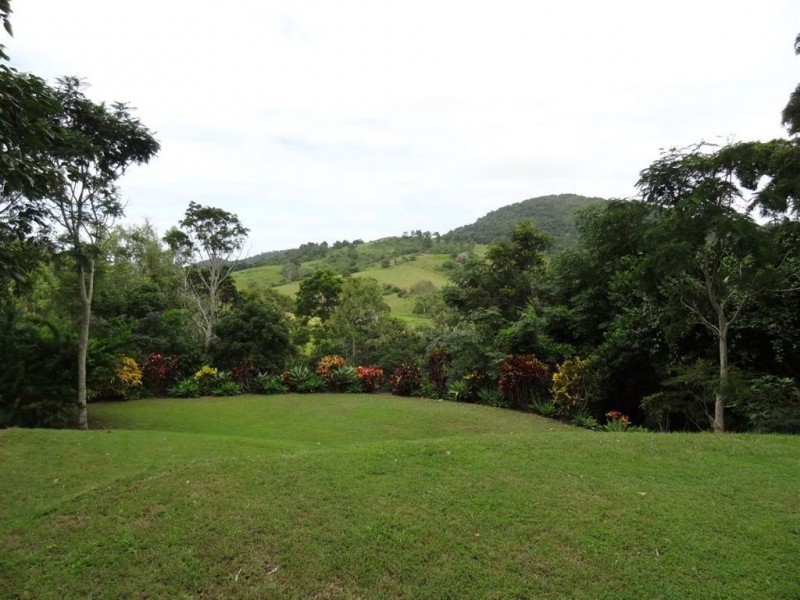 1 Muscats Access Road, Habana QLD 4740