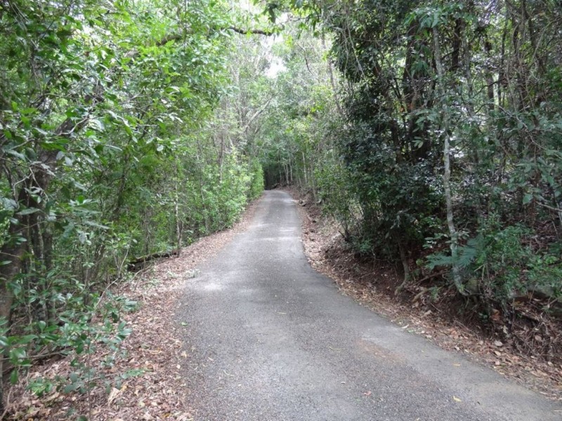 1 Muscats Access Road, Habana QLD 4740