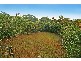 Lot 106 on RP 13218 Barradine Street, Greenslopes QLD 4120