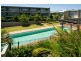 57/21 Love Street, Bulimba QLD 4171