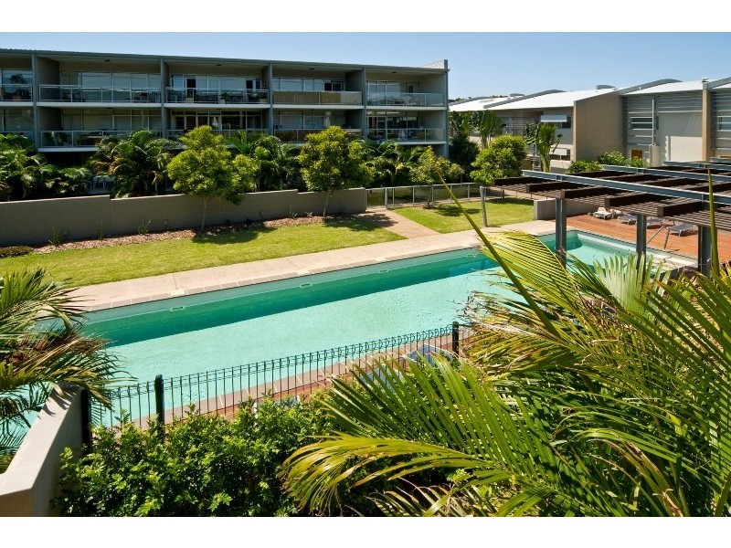 57/21 Love Street, Bulimba QLD 4171