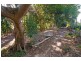 46 Baringa Street, Morningside QLD 4170