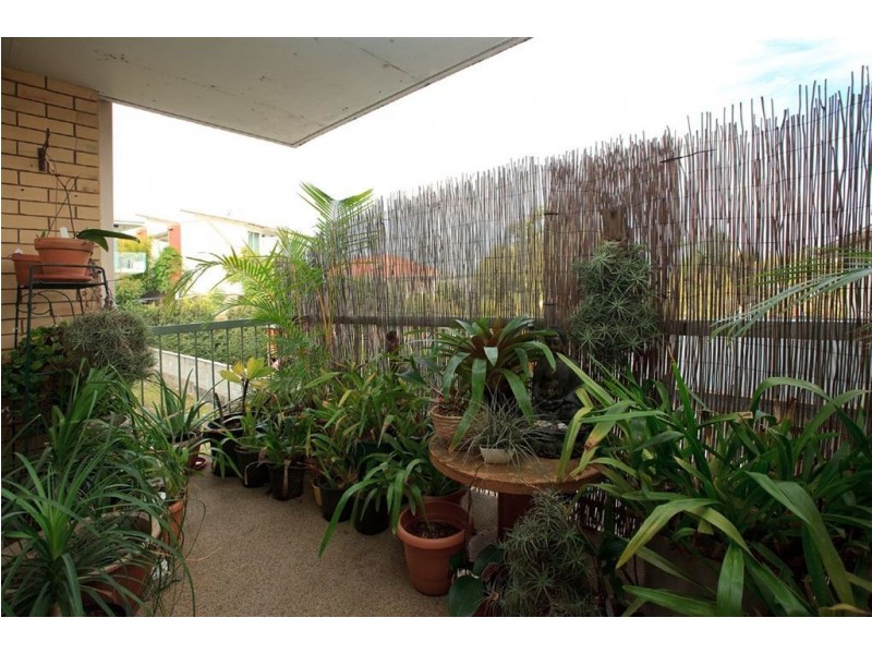 3/25 Pine Street, Bulimba QLD 4171