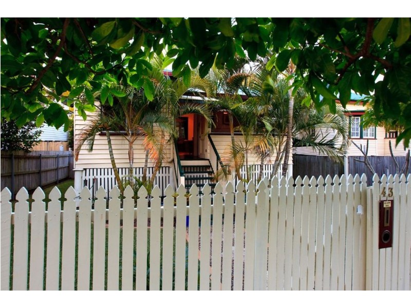 43 Jenolan Avenue, Hawthorne QLD 4171